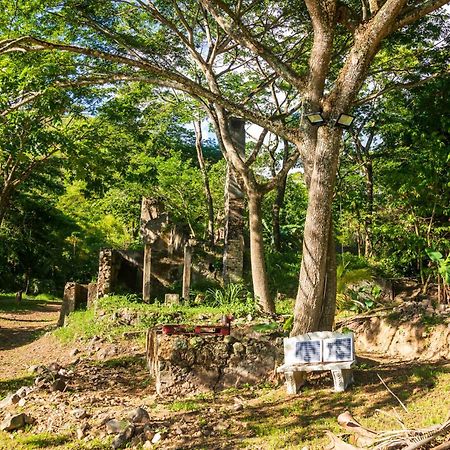 Villa Martinique Treehouse Canton Suisse Esterno foto