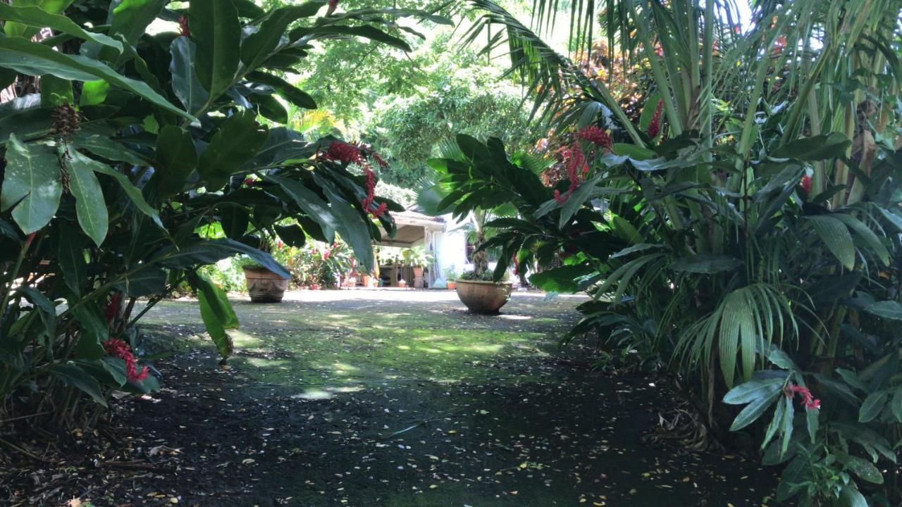 Villa Martinique Treehouse Canton Suisse Esterno foto