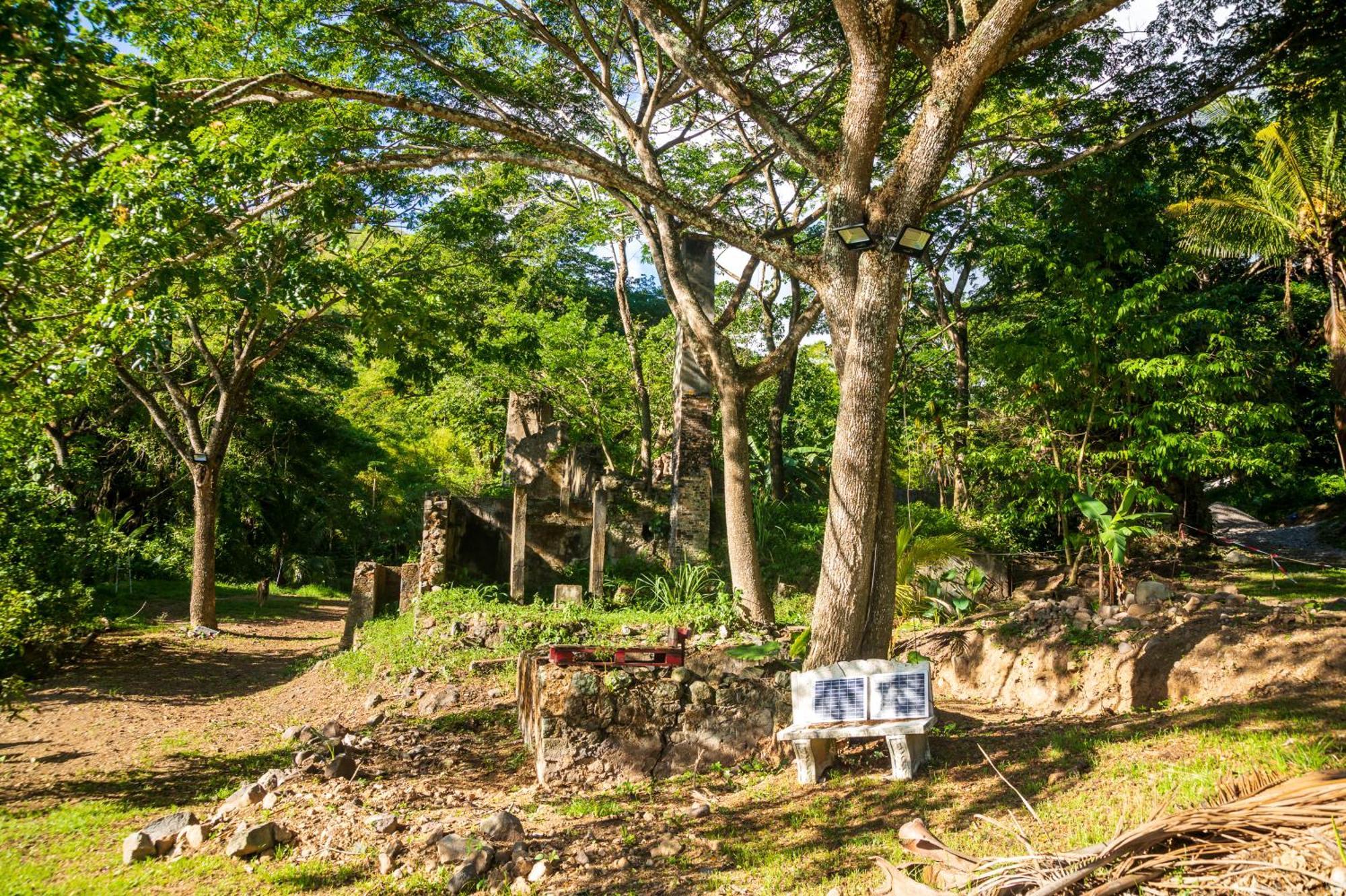 Villa Martinique Treehouse Canton Suisse Esterno foto