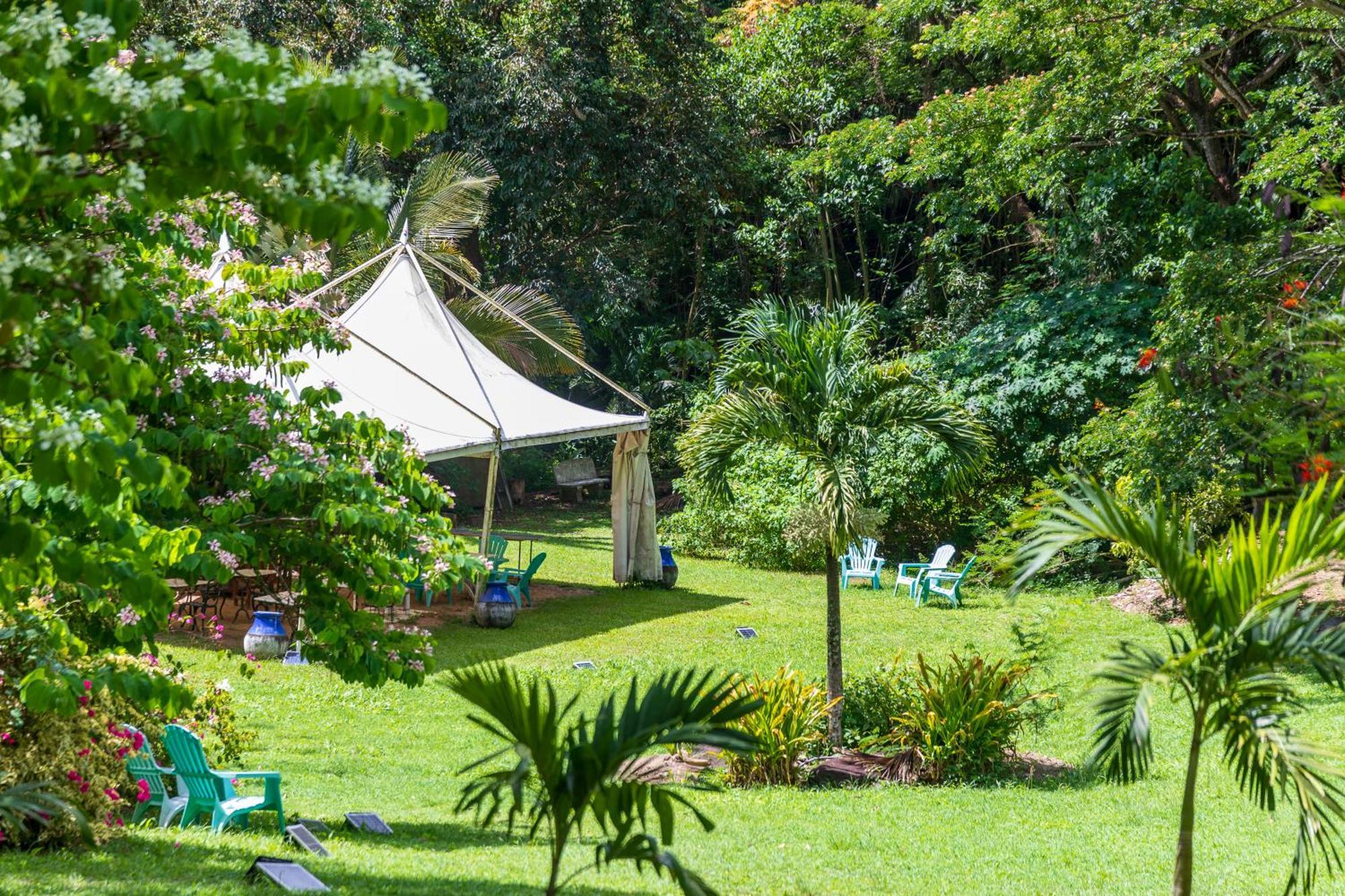 Villa Martinique Treehouse Canton Suisse Esterno foto