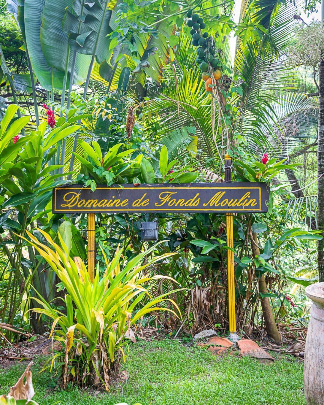 Villa Martinique Treehouse Canton Suisse Esterno foto