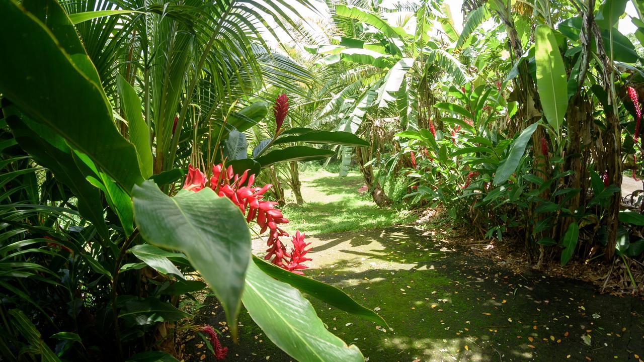 Villa Martinique Treehouse Canton Suisse Esterno foto