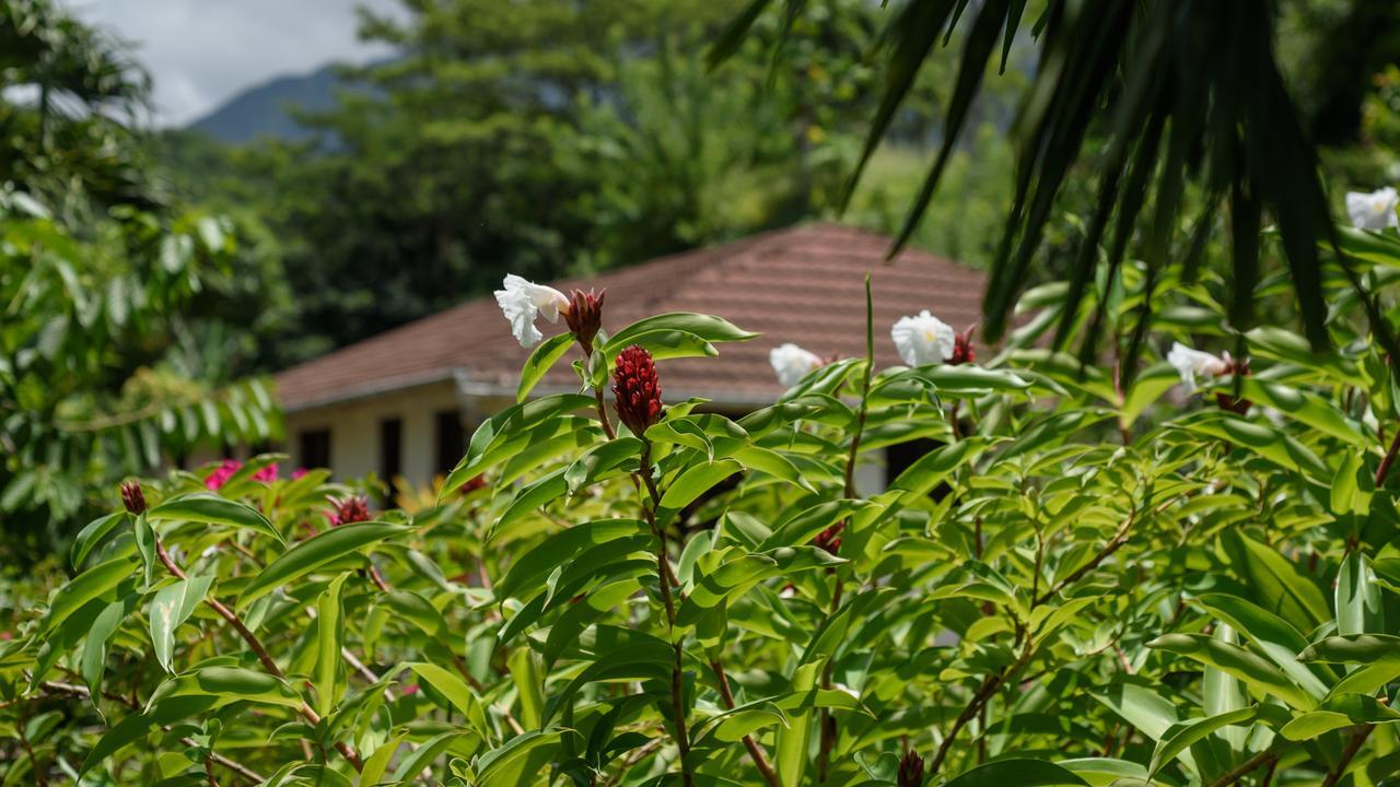 Villa Martinique Treehouse Canton Suisse Esterno foto