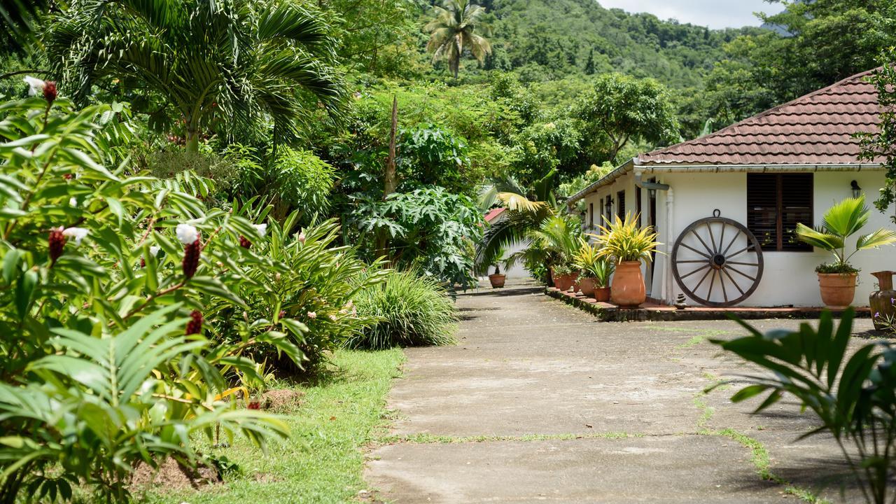 Villa Martinique Treehouse Canton Suisse Esterno foto