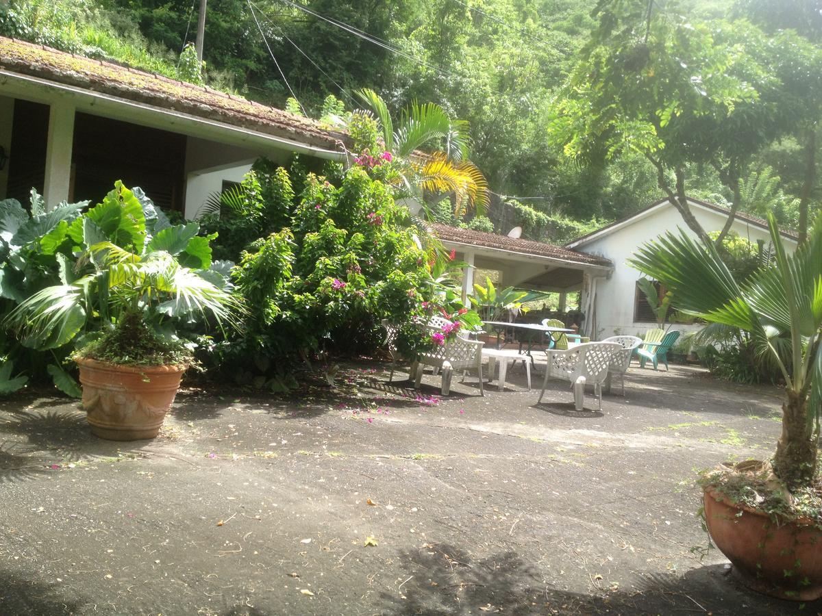 Villa Martinique Treehouse Canton Suisse Esterno foto