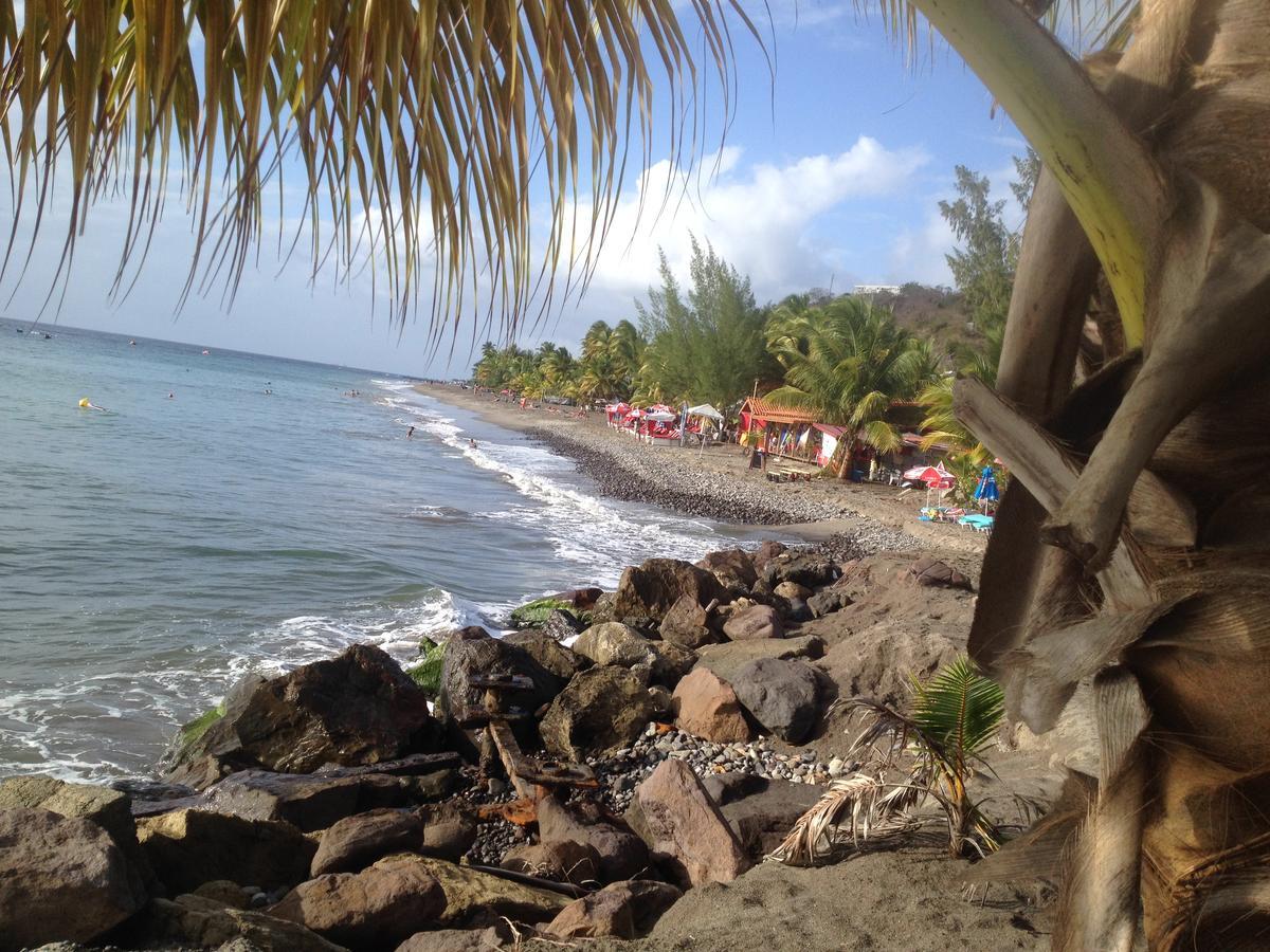 Villa Martinique Treehouse Canton Suisse Esterno foto