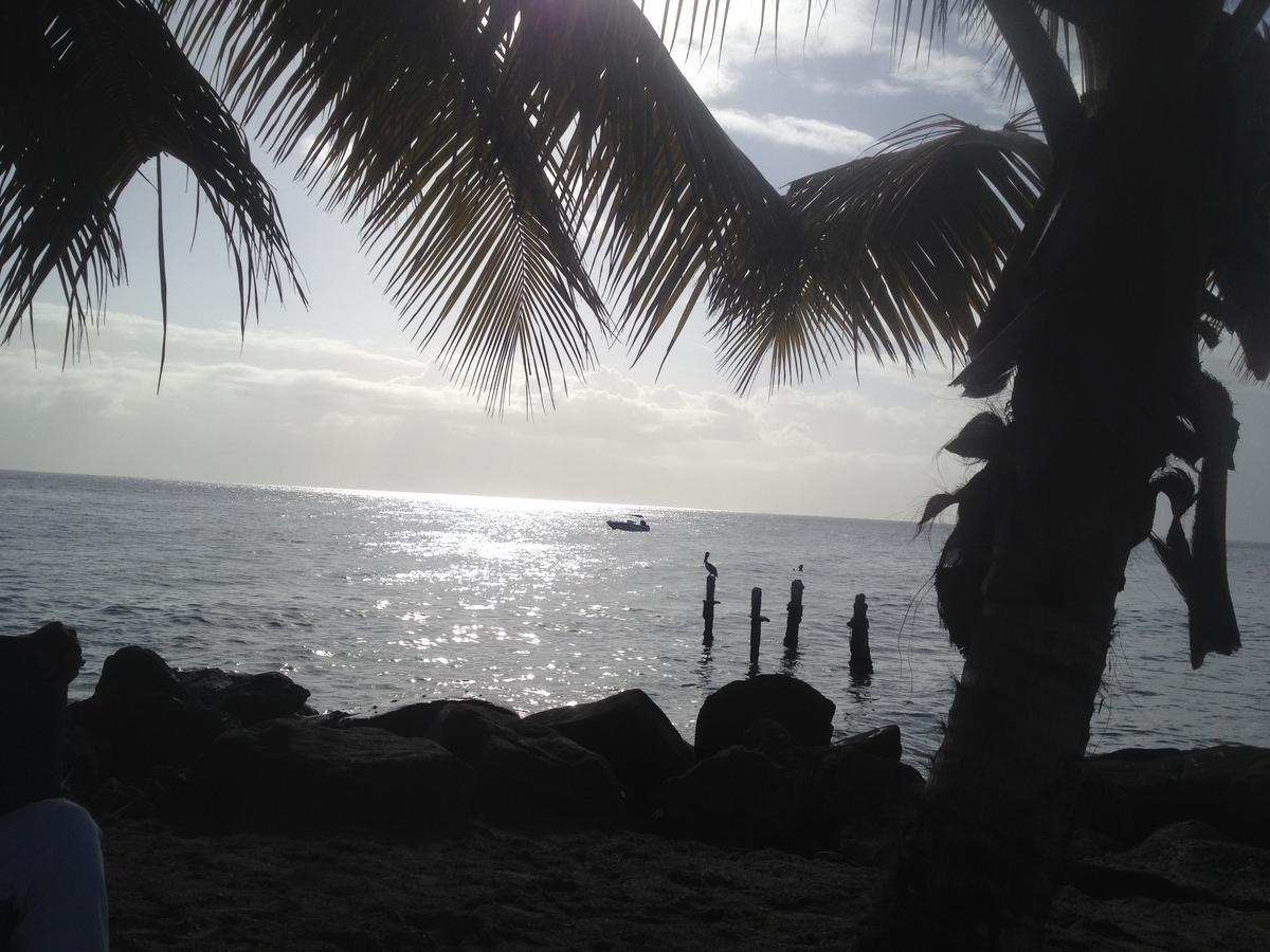 Villa Martinique Treehouse Canton Suisse Esterno foto