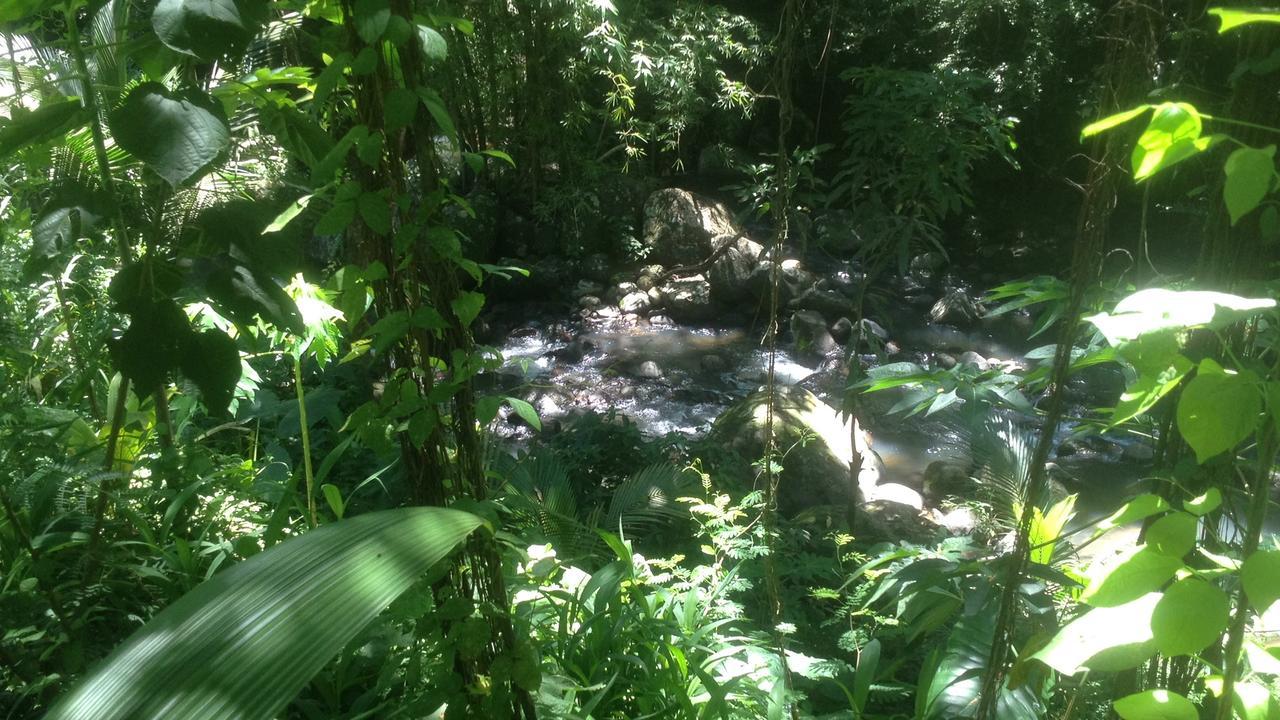 Villa Martinique Treehouse Canton Suisse Esterno foto