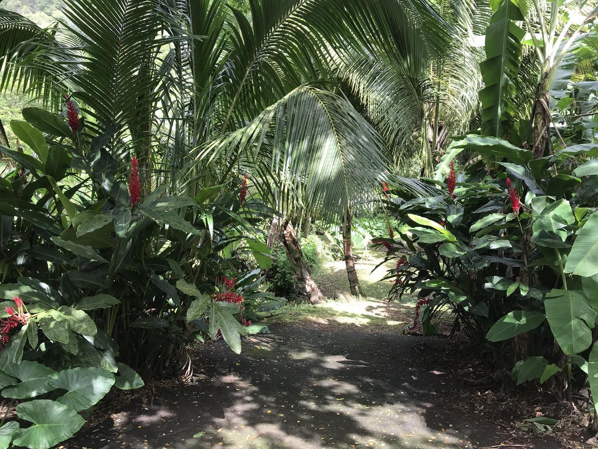 Villa Martinique Treehouse Canton Suisse Esterno foto
