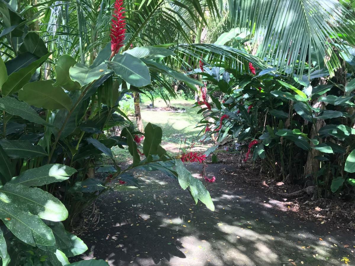 Villa Martinique Treehouse Canton Suisse Esterno foto