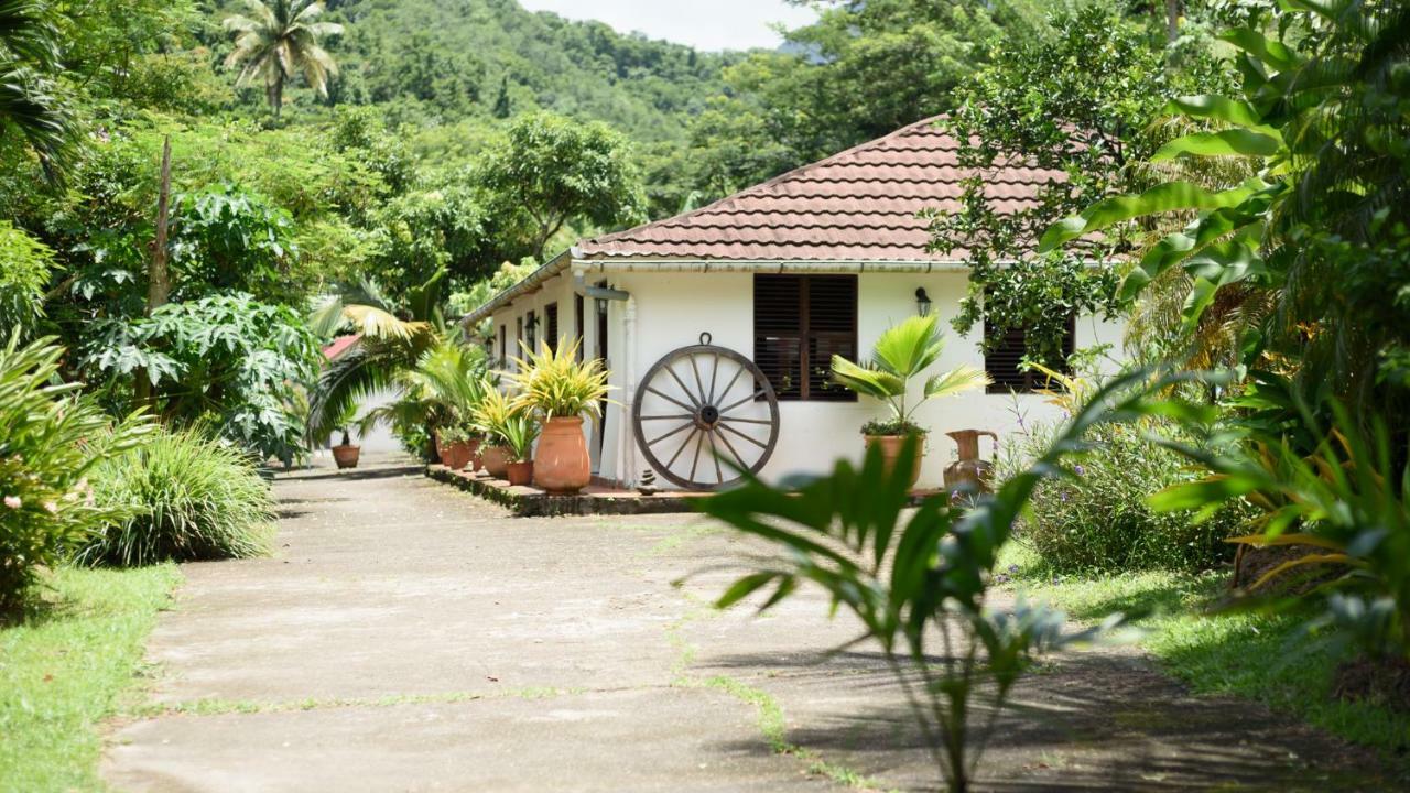 Villa Martinique Treehouse Canton Suisse Esterno foto